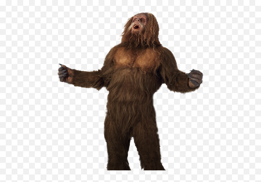 Beef Jerky Protein Snacks Turkey Jerky Meat Snacks Jack - Bigfoot Jacks Links Emoji,Dog Emoji Jerky