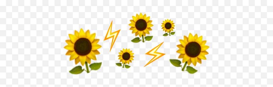 Download Aesthetic Emoji Crown Png Png U0026 Gif Base - Yellow Flower Crown Emoji Transparent,Yellow Star Emoji Snapchat