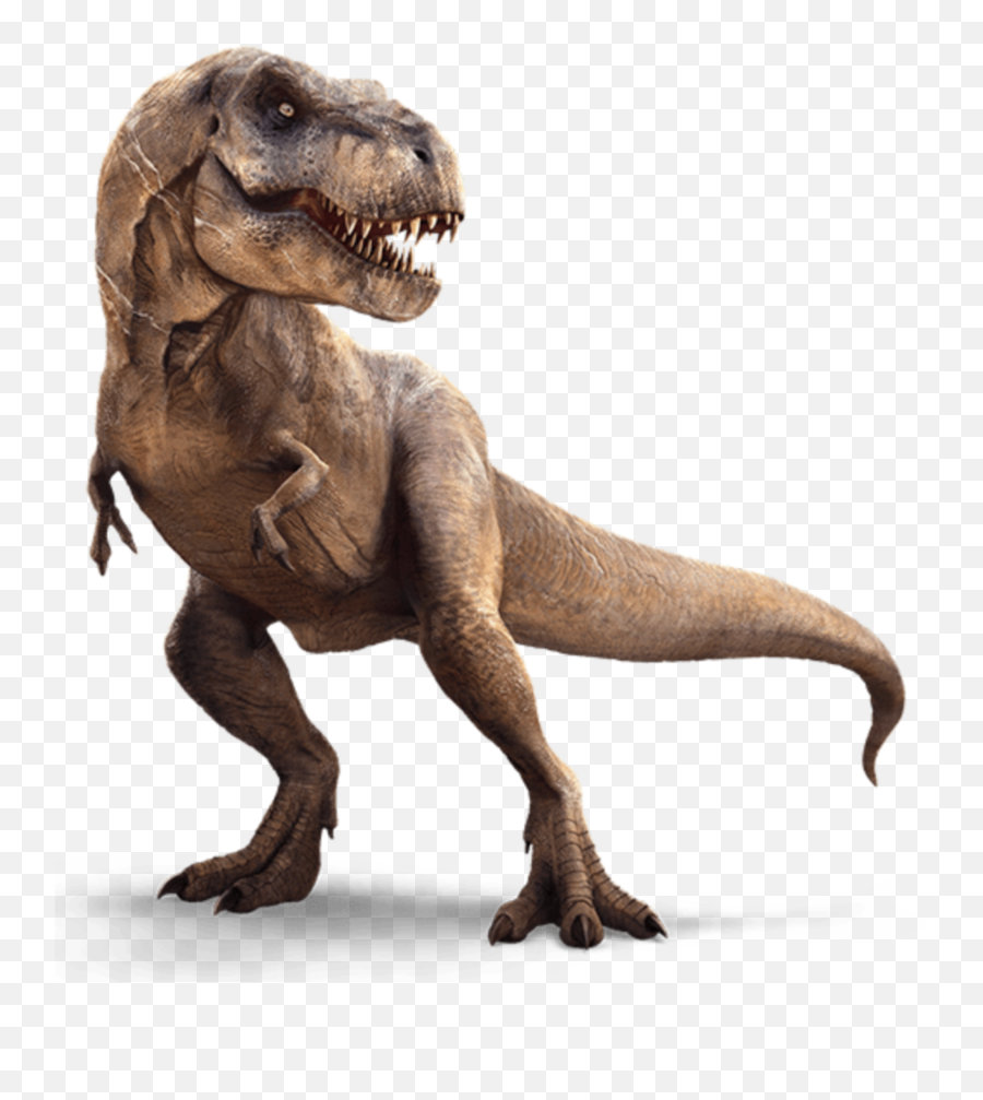 Jurassic Park Dinosaur Png U0026 Free Jurassic Park Dinosaurpng - Tyrannosaurus Rex Emoji,T Rex Emoji