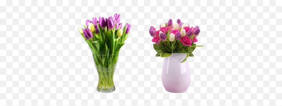Transparent Public Domain Image Search - Freeimg Vase Of Flowers Png Emoji,Apple Tulip Emoticon