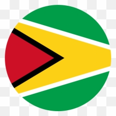 Guyana Flag Emoji - Tate London,Guyana Flag Emoji