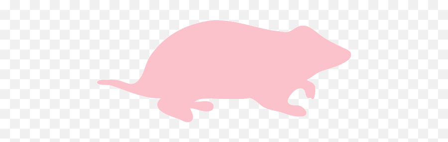 Pink Hamster Icon - Free Pink Animal Icons Hamster White Logo Png Emoji,Guinea Pig Emoticons