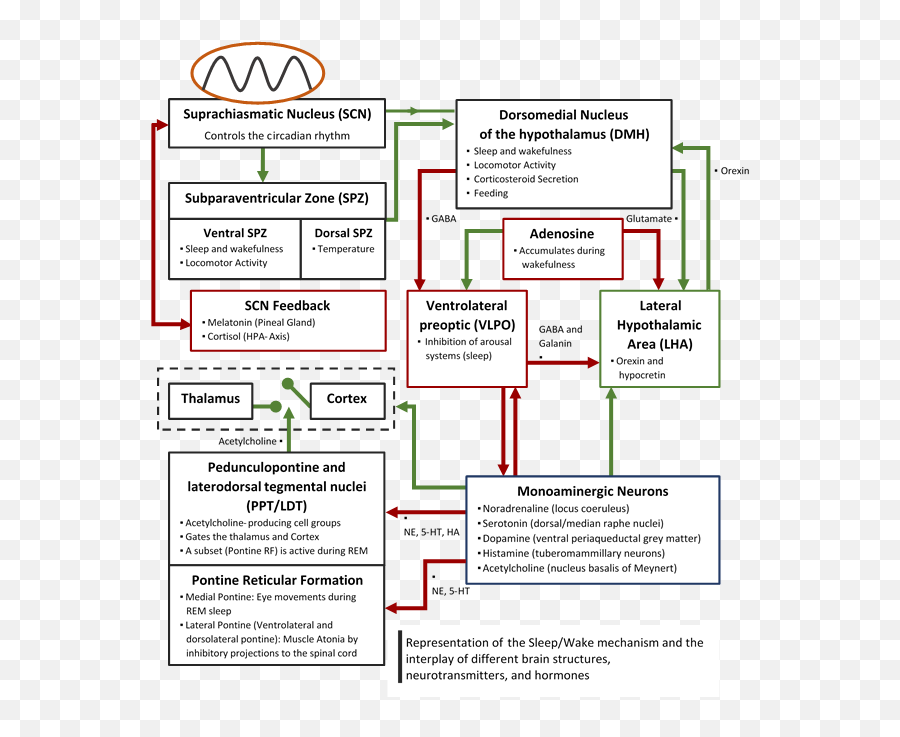 Which Neurotransmitter Is Responsible - Vertical Emoji,Neurotransmitters And Emotions