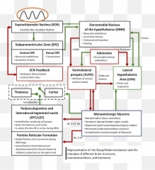 Which Neurotransmitter Is Responsible - Vertical Emoji,Neurotransmitters And Emotions