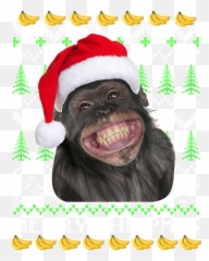 Monkey Posters Teeshirtpalace Emoji,Gorilla Face Emoji