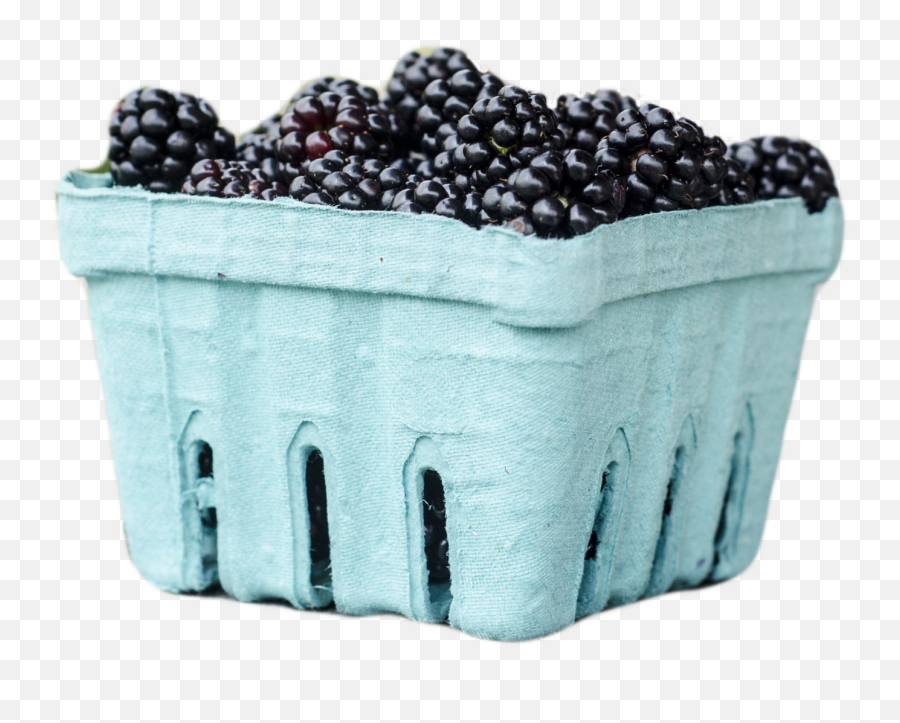 Vermont - Grown Fruit U2014 Champlain Orchards Emoji,Why Does Blueberry Emoji Show A Square