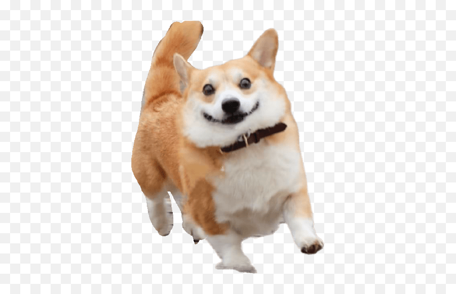 Khaby Lame Emoji,Wechat Doge Emoji