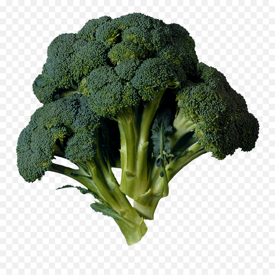 Broccoli Transparent Png - Transparent Broccoli Png Emoji,Broccoli Emoji Iphone