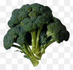 Broccoli Transparent Png - Transparent Broccoli Png Emoji,Broccoli Emoji Iphone