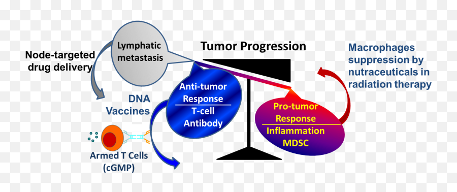 Tumor Biology And Microenvironment Theme 3 Accomplishments - Language Emoji,Book About Emotion Suppressing Drug