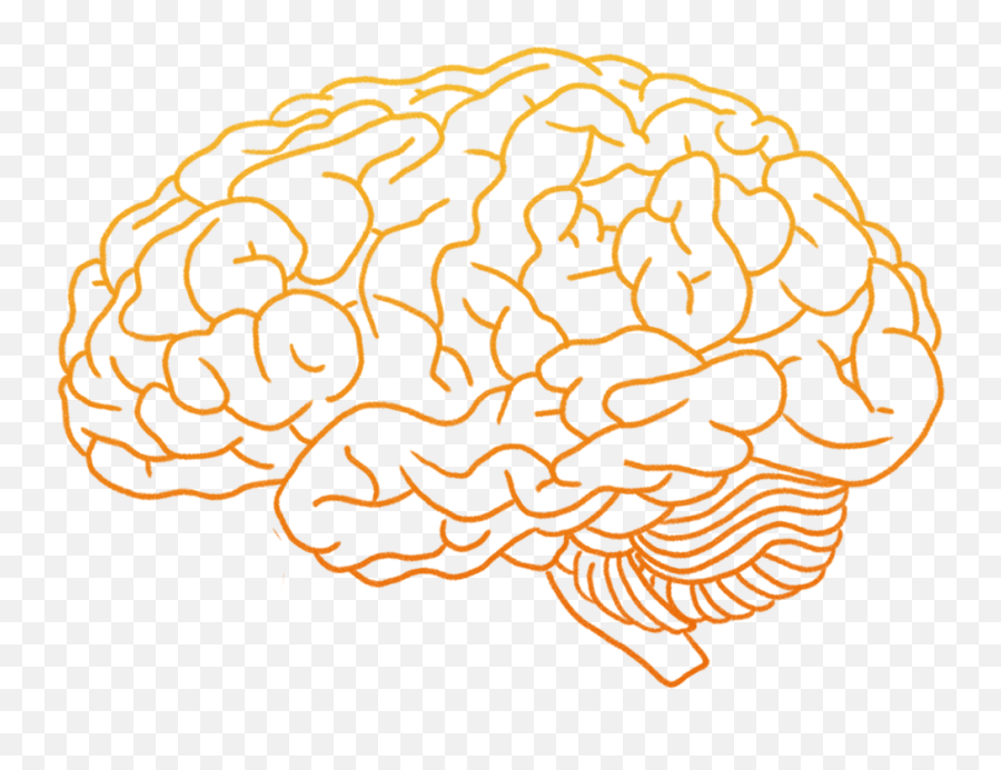 This Is Your Brain On Hip - Hop How Rap Music Affects Human Brain Png Clipart Emoji,Part Of Brain For Emotion