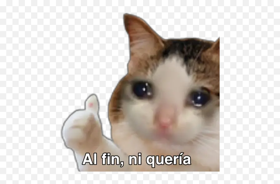 Gato Like Stickers Para Whatsapp - Stickers Memes Emoji,Emoticon Whatsapp Pulgar Arriba