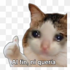 Gato Like Stickers Para Whatsapp - Stickers Memes Emoji,Emoticon Whatsapp Pulgar Arriba