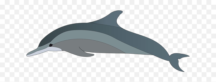 Free Dolphins Sea Illustrations - Clip Art Dolphin Emoji,Dolphins And Emotions