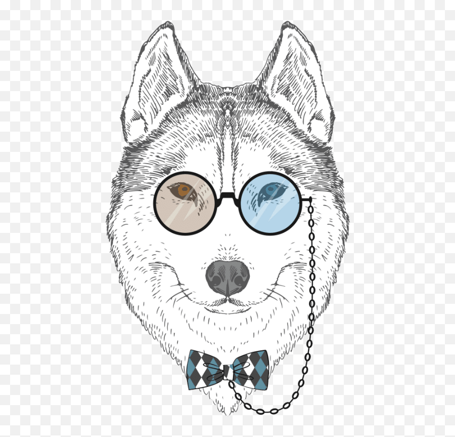 Do Husky Eyes Change Colors - Northern Breed Group Emoji,Husky Stages Of Emotion