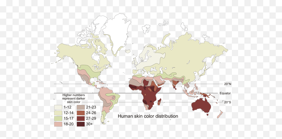 Why In Japanese Anime Do None Of The Characters Look - Human Skin Color Map Emoji,Stupid Japanese Emojis