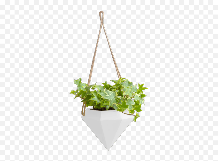 House Hanging Plant Png Image - Hanging Planter White Emoji,Plant Emoji No Background