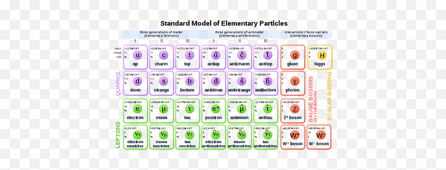 Fundamental Particles Of An Atom List U0026 Types - Video Standard Model Of Elementary Particles Hd Emoji,Lhc Subatomic Particle Emojis
