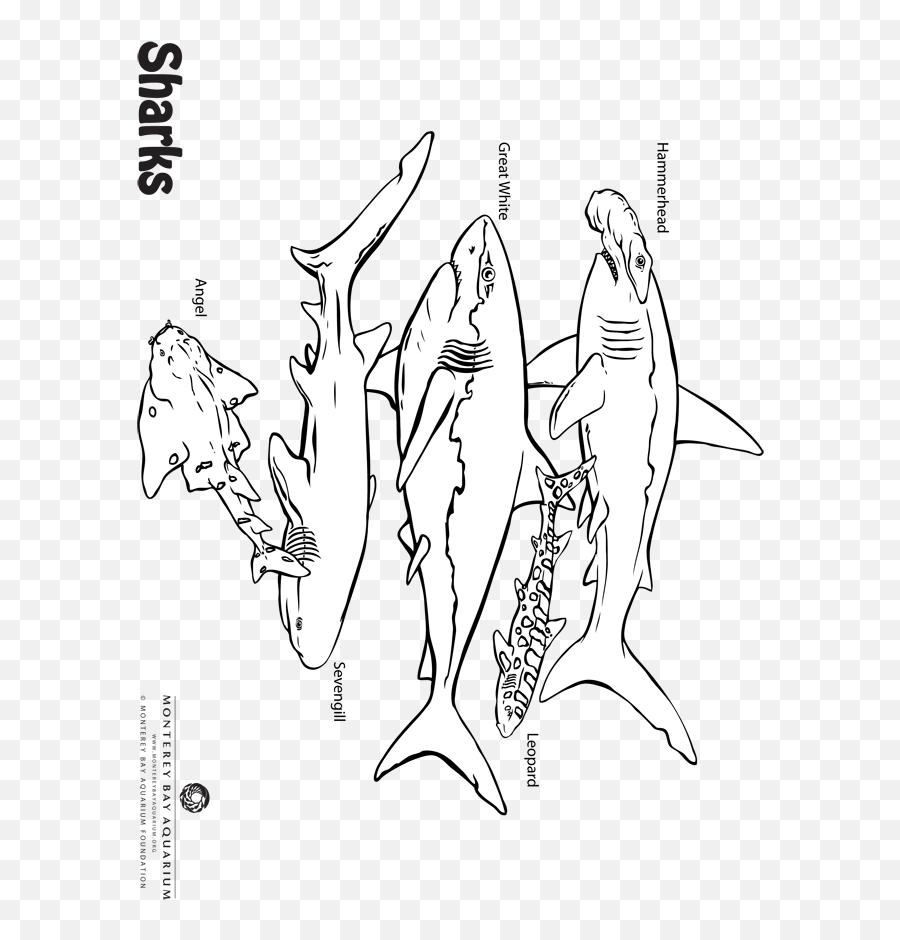 Shark Coloring Pages Colouring Pages - Ground Sharks Emoji,Shark Emotion Color Page