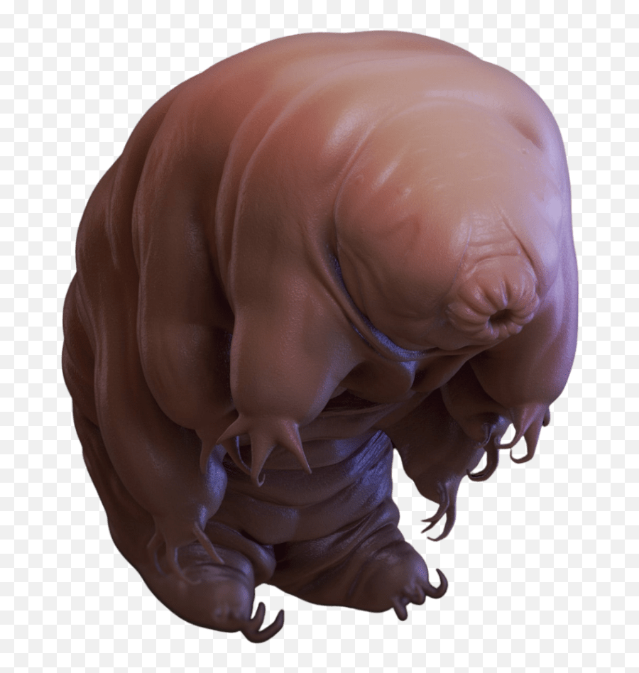 Tardigrade - What Makes Us Real Deal Therapy U0026 Wellness Emoji,Emotions Watching Tardigrade - What Makes Us Real Deal Therapy U0026 Wellness Emoji,Emotions Watching