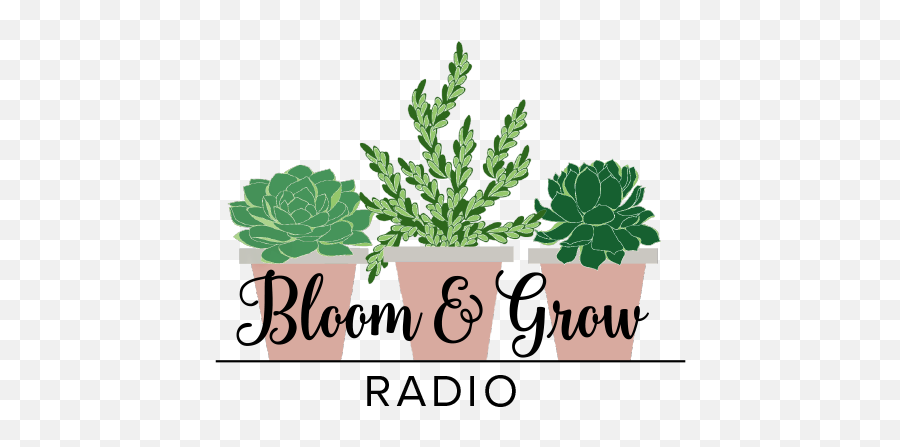 Maria Failla Of Bloom And - Flowerpot Emoji,The Glass Case Of Emotion Podcast