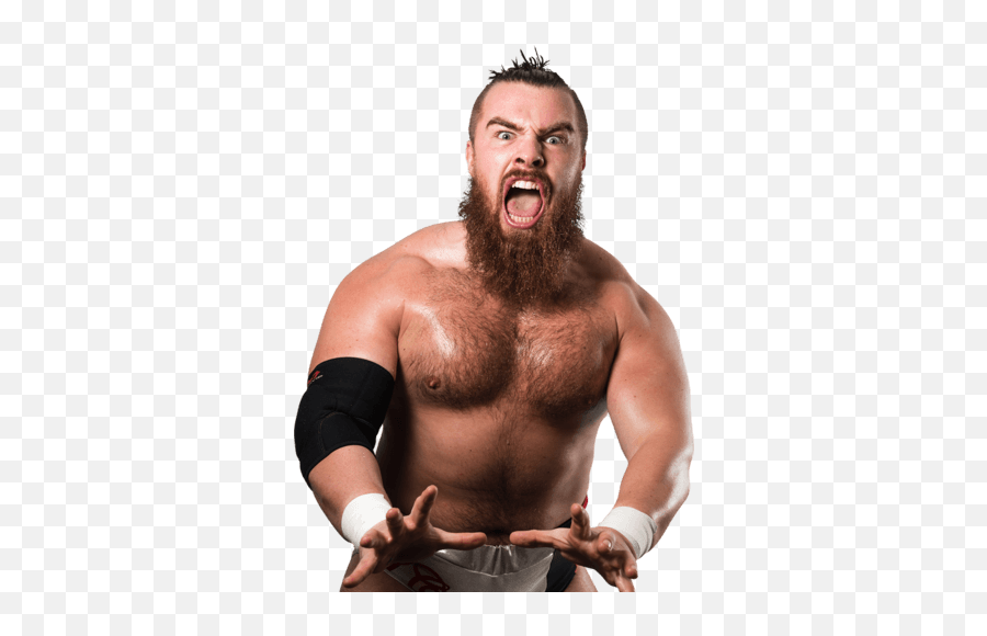 Mark Coffey - Online World Of Wrestling Joe Coffey Wwe Emoji,Johnny Gargano Emoticon Meaning