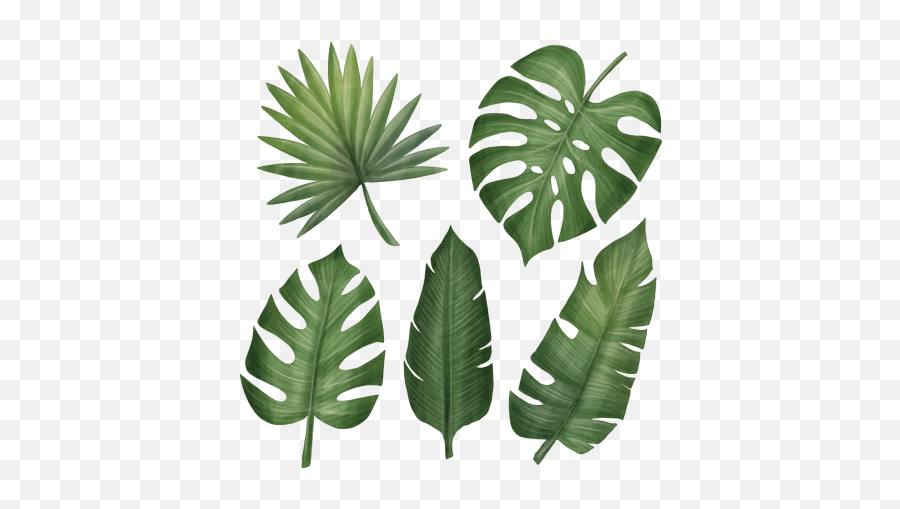 Wandtattoo Pflanze Große Grüne Blätter - Tropical Leaf Emoji,Emoticon For Grose