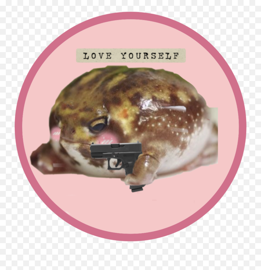 Frog Wholesome Frog Sticker By Bellaw13245 - Wholesome Frog Emoji,Spadefoot Toad Emotion