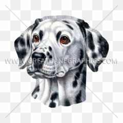 Dalmatian Face - Dalmatian Face Emoji,Dalmatian Emoticon