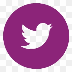 Zoom Basics Vcies - 2021 Cies 2021 Emoji,Zoom Meeting Emojis