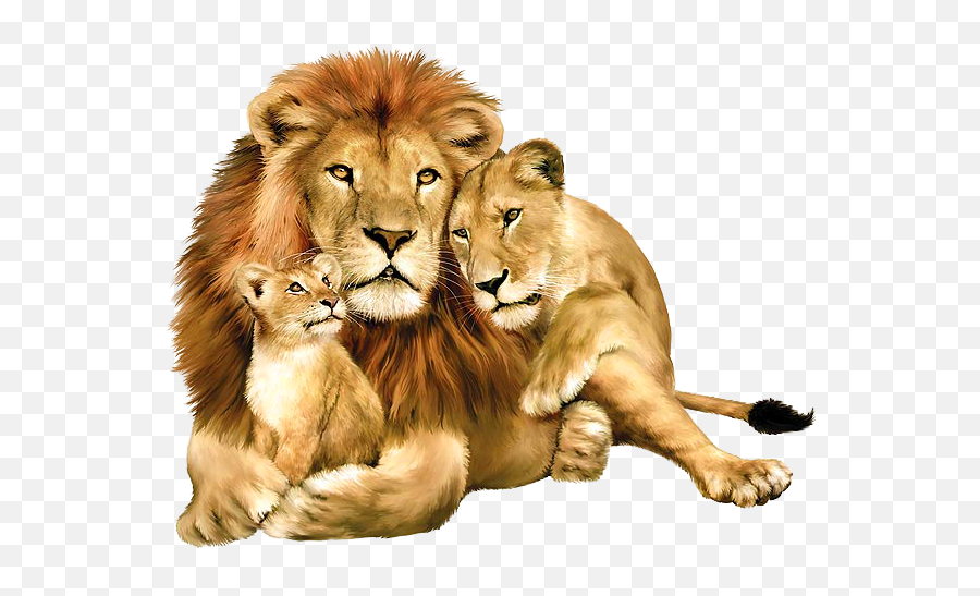 Shanmugam P U2013 Page 6 U2013 Shanmugamu0027s Blog Emoji,Lion Eats Man Emoticons