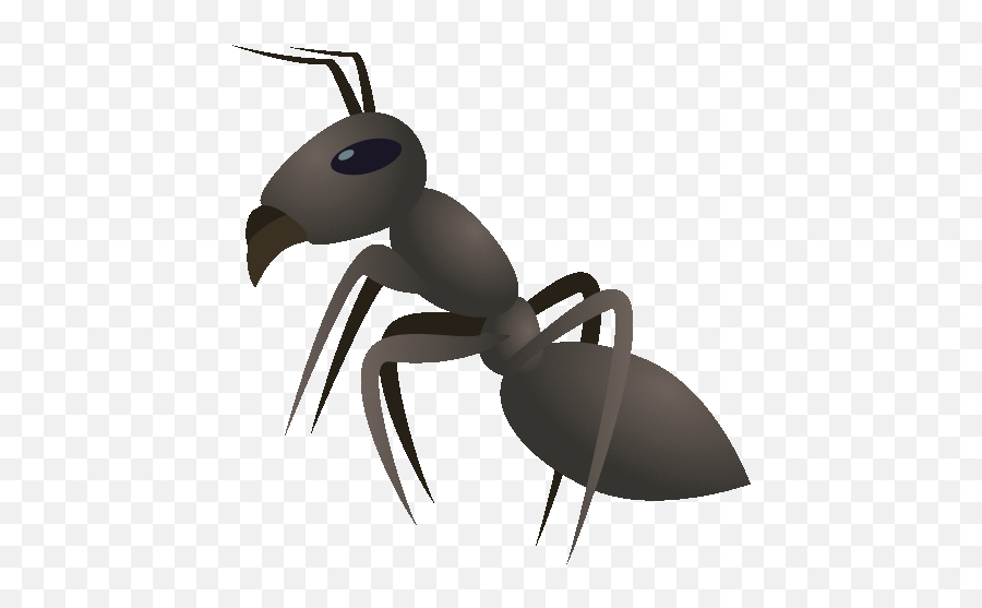 Ant Nature Sticker - Ant Nature Joypixels Discover U0026 Share Emoji,Beetle Emoji