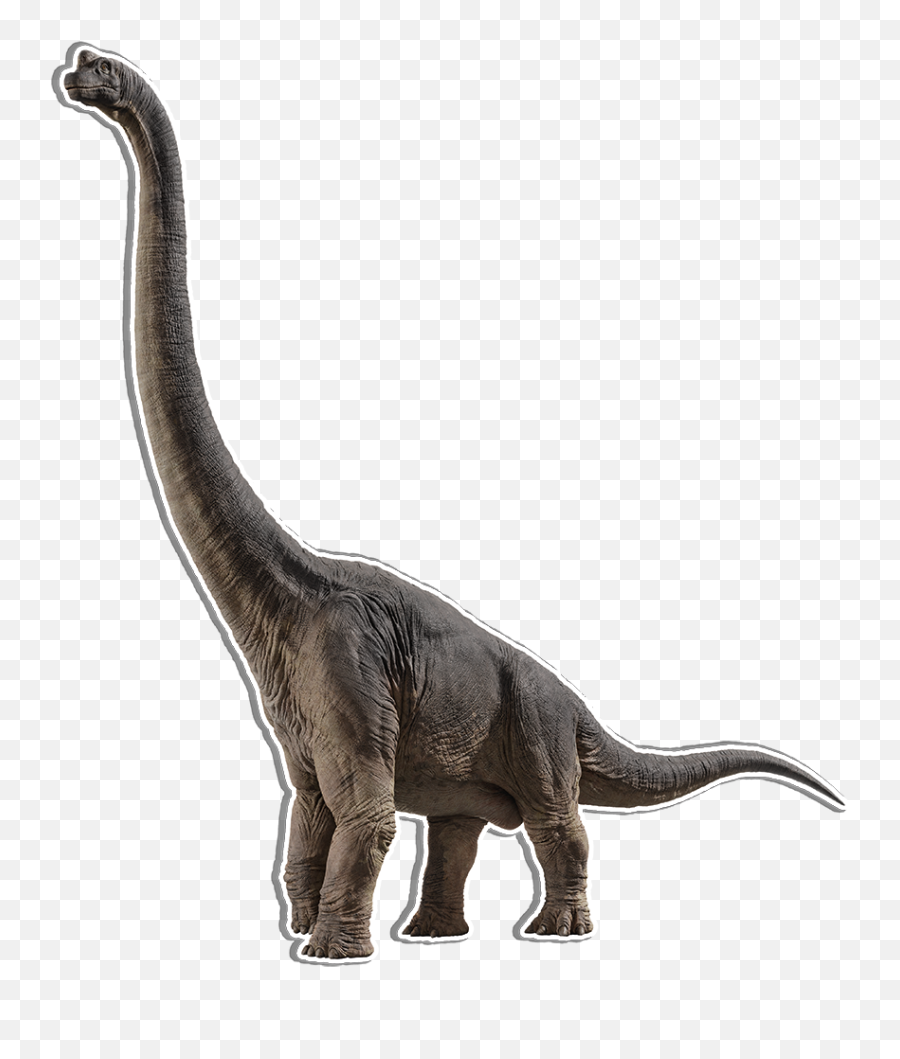 Brachiosaurus U201cbrancaiu201d Sf U2013 Jurassic - Pedia Emoji,Dinosaur Haychling Emoji Discord
