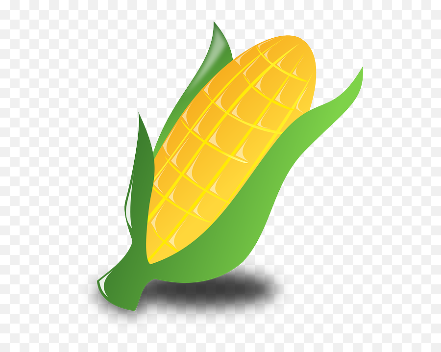 Thanksgiving - Corn Animated Emoji,Corn Emoji Thanks