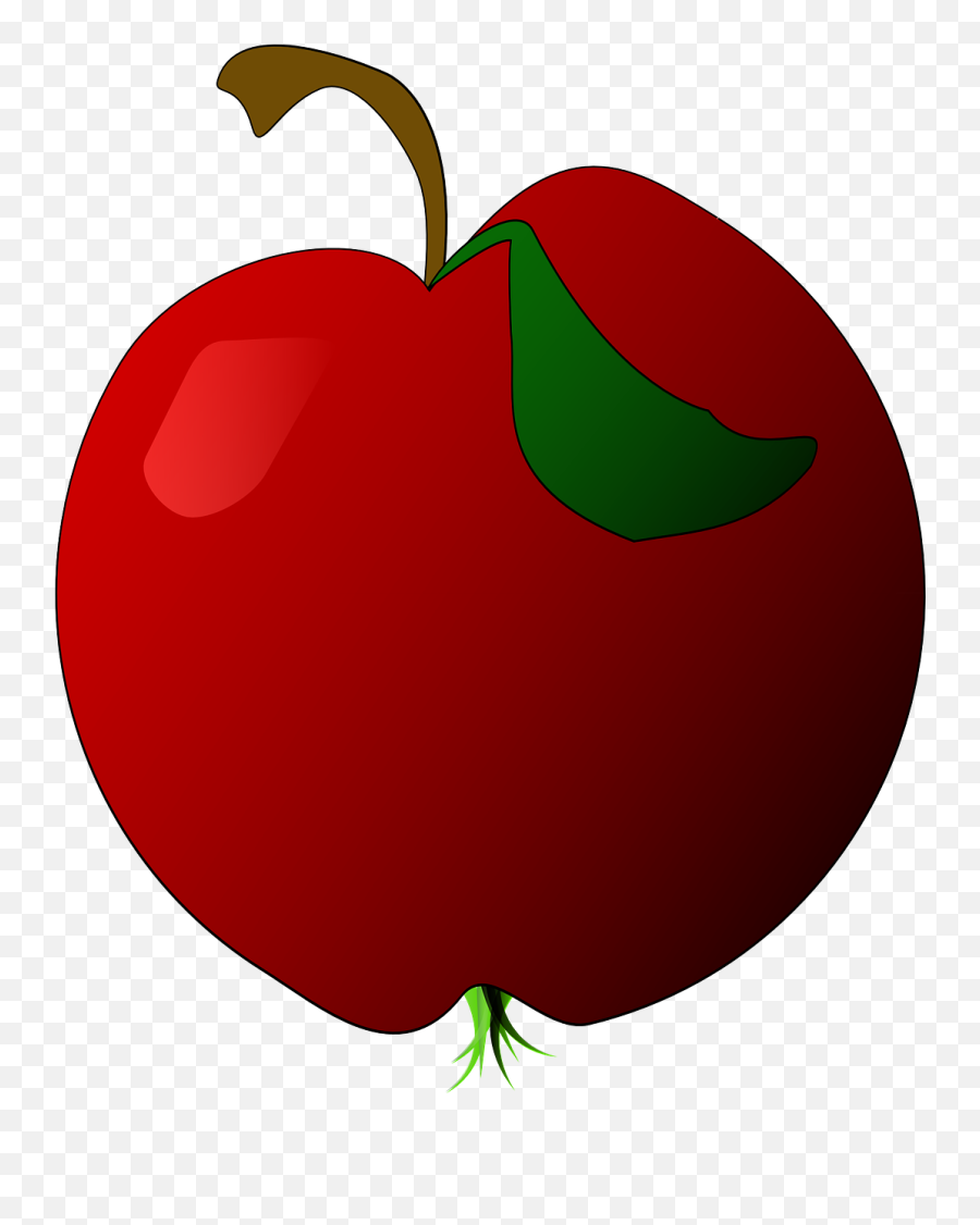 Httpswwwpicpngcomshrimp - Animalaquaredpng93055 Fruit Drawing Png Apple Emoji,Apple Tulip Emoticon