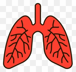 Lungs Clipart - Language Emoji,Lung Emoji