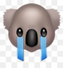 The Most Edited - Koala Emotka Emoji,Emoji Flah