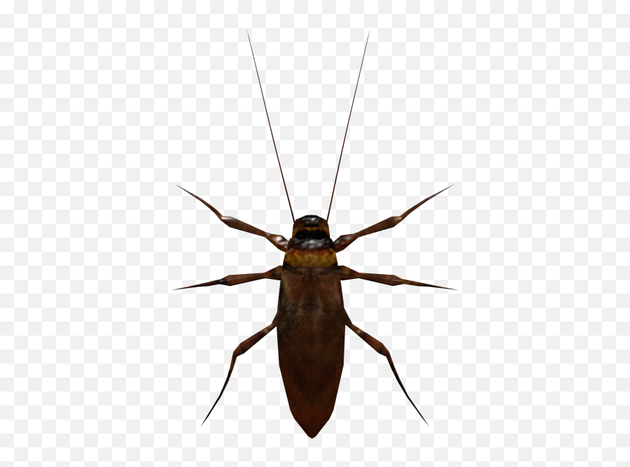 Roach - Fnaf Cockroach Emoji,Facebook Cockroach Emoticon