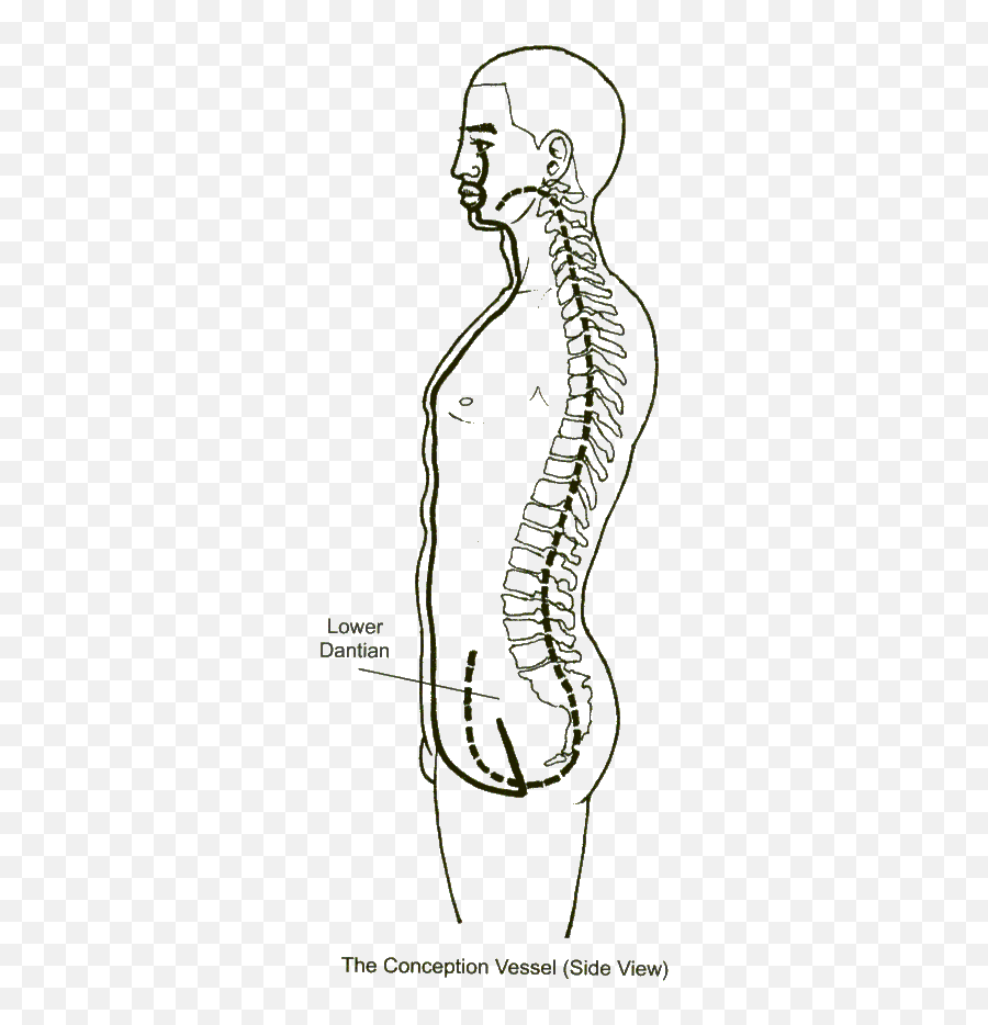 The Governing Vessel - Dot Emoji,Kidney Meridian Emotions