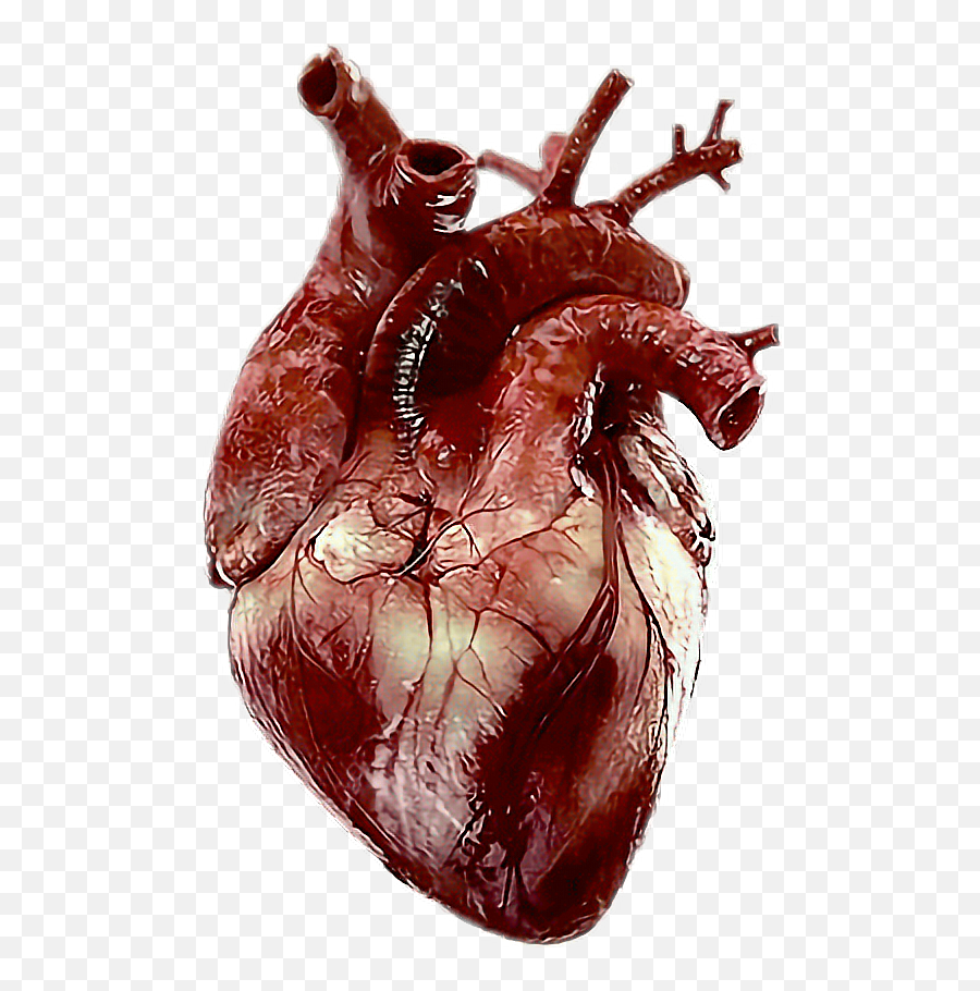 Bleeding Heart Animation 1 - Heart Images Real Hd Emoji,Bleeding Heart Emoji