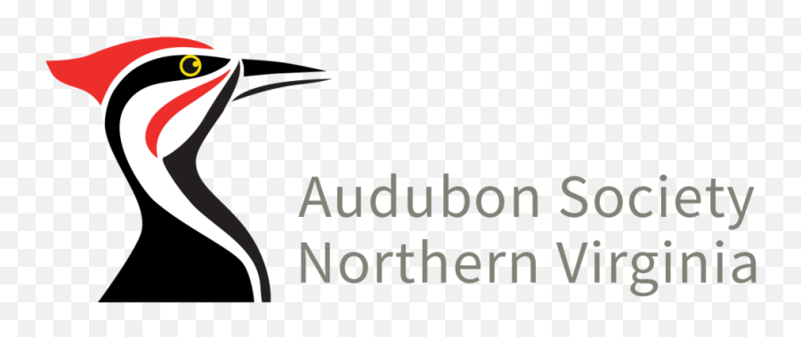 June Bird Of The Month U2014 Audubon Society Of Northern Virginia Emoji,