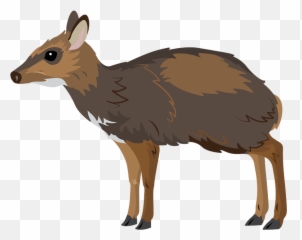 Philippine Mouse - Deer Clipart Free Download Transparent Emoji,Deer Emoji