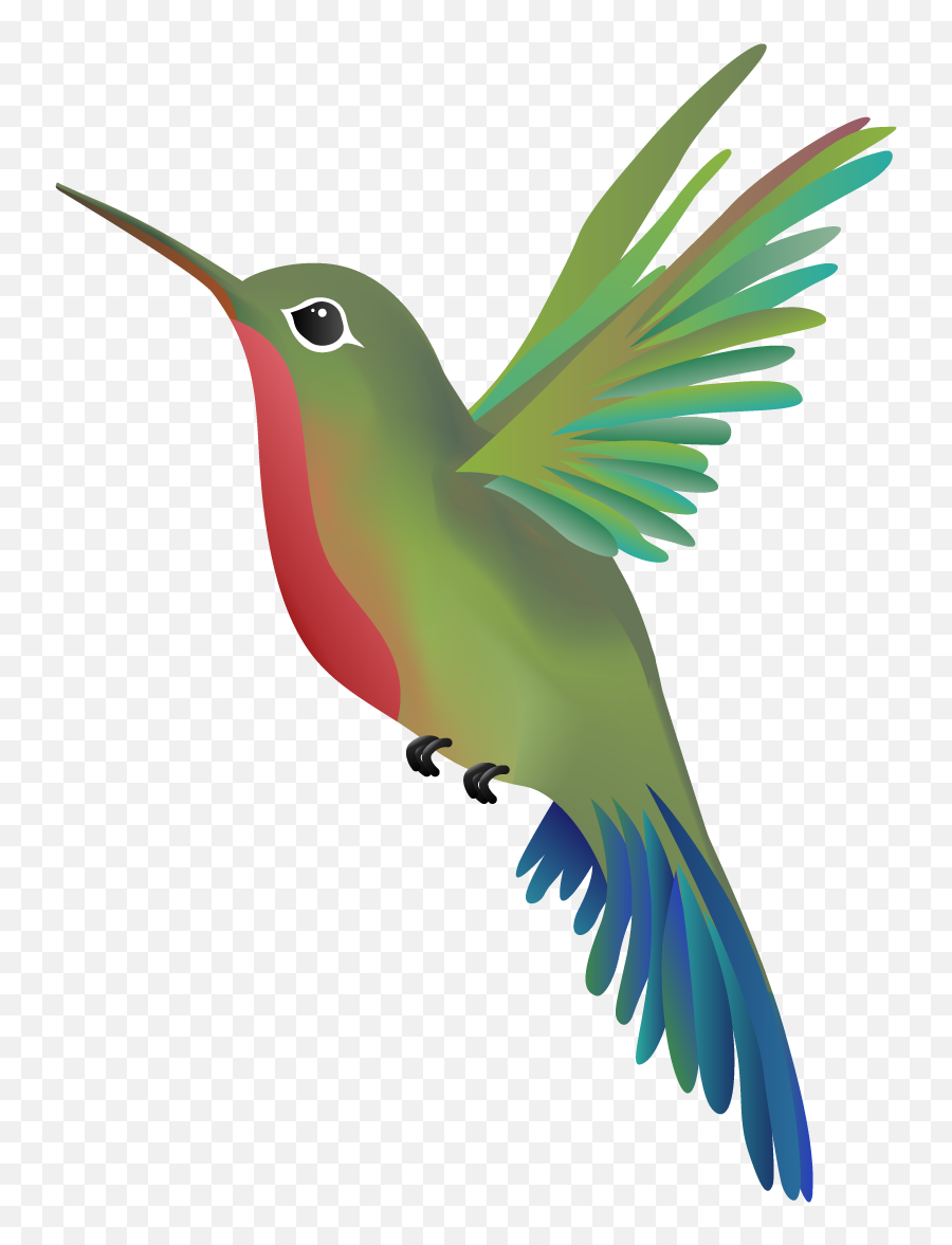 Hummingbird Png - Parrots Emoji,Hummingbird Emoji