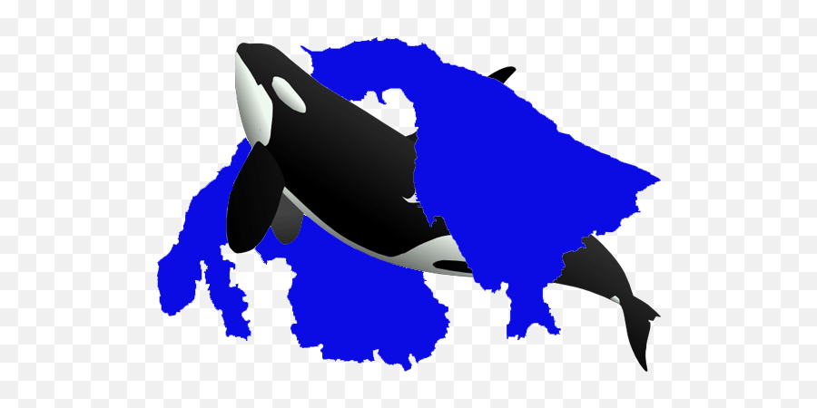 Pip - Clip Art Transparent Background Whale Emoji,Orcas Emotions