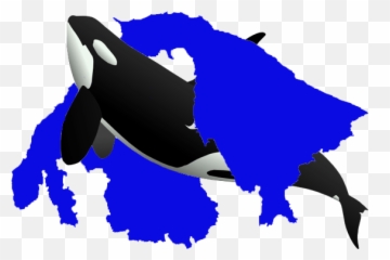 Pip - Clip Art Transparent Background Whale Emoji,Orcas Emotions