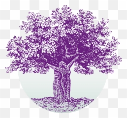 Helena Montana Physical Therapy And Pilates Advanced Rehab - Girly Emoji,Emotions Of Normal People Marston