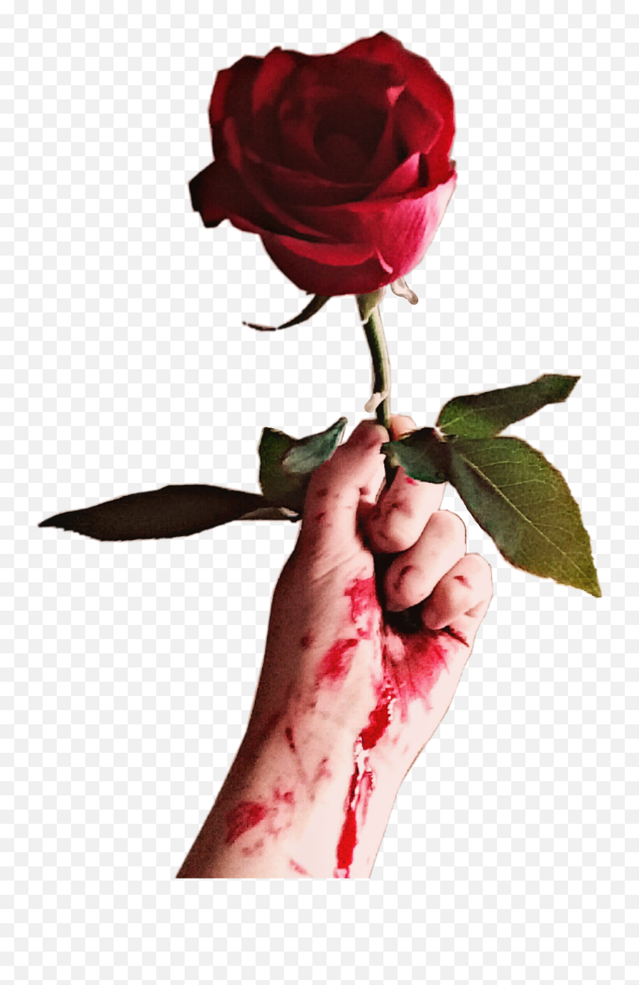 Rose Blood Pain Hand Sad Sticker - Lovely Emoji,Blood Hand Emojis Png