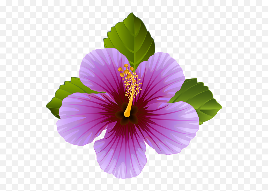 Purple Flower Transparent Clip Art - Purple Flower Clipart Emoji,Hibiscus Emoji