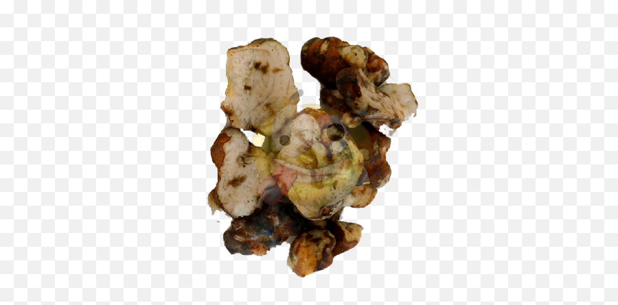 Magic Truffels - Galangal Emoji,Panaeolus Emoticon