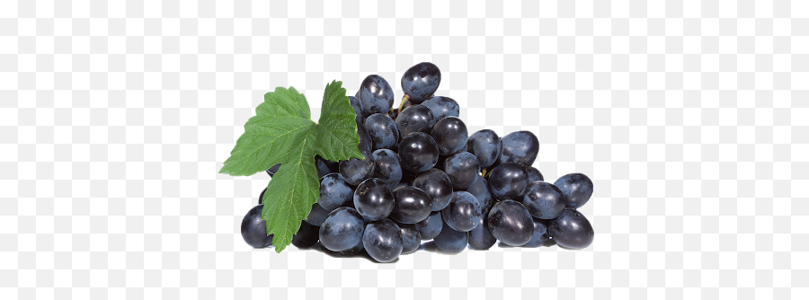 Black Grapes Fruit Transparent Png Png Mart Emoji,Black Grapes Emoji